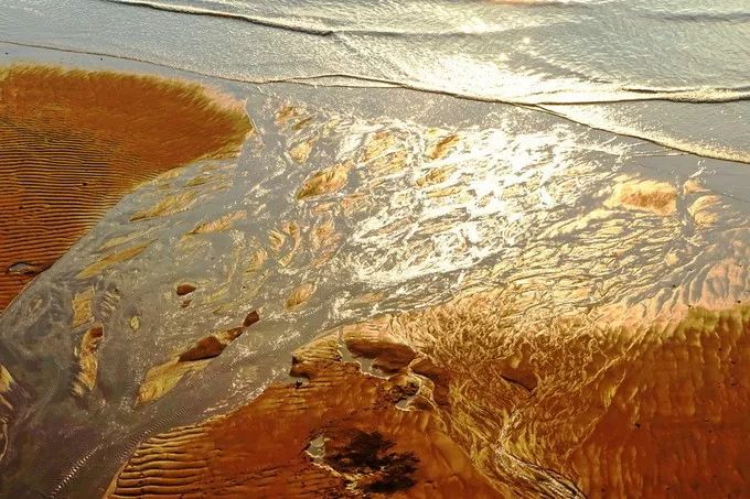 霞是光，浦是海：光与海的对话，吟唱出最美的滩涂