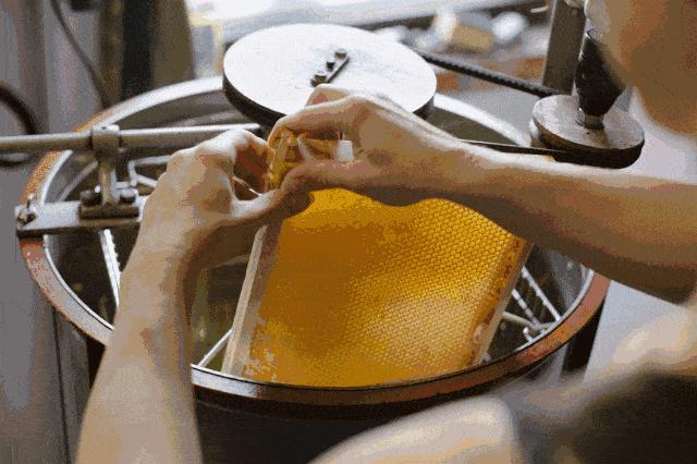 夏天蜂蜜结晶是真蜂蜜还是假蜂蜜,市面上的蜂蜜真假