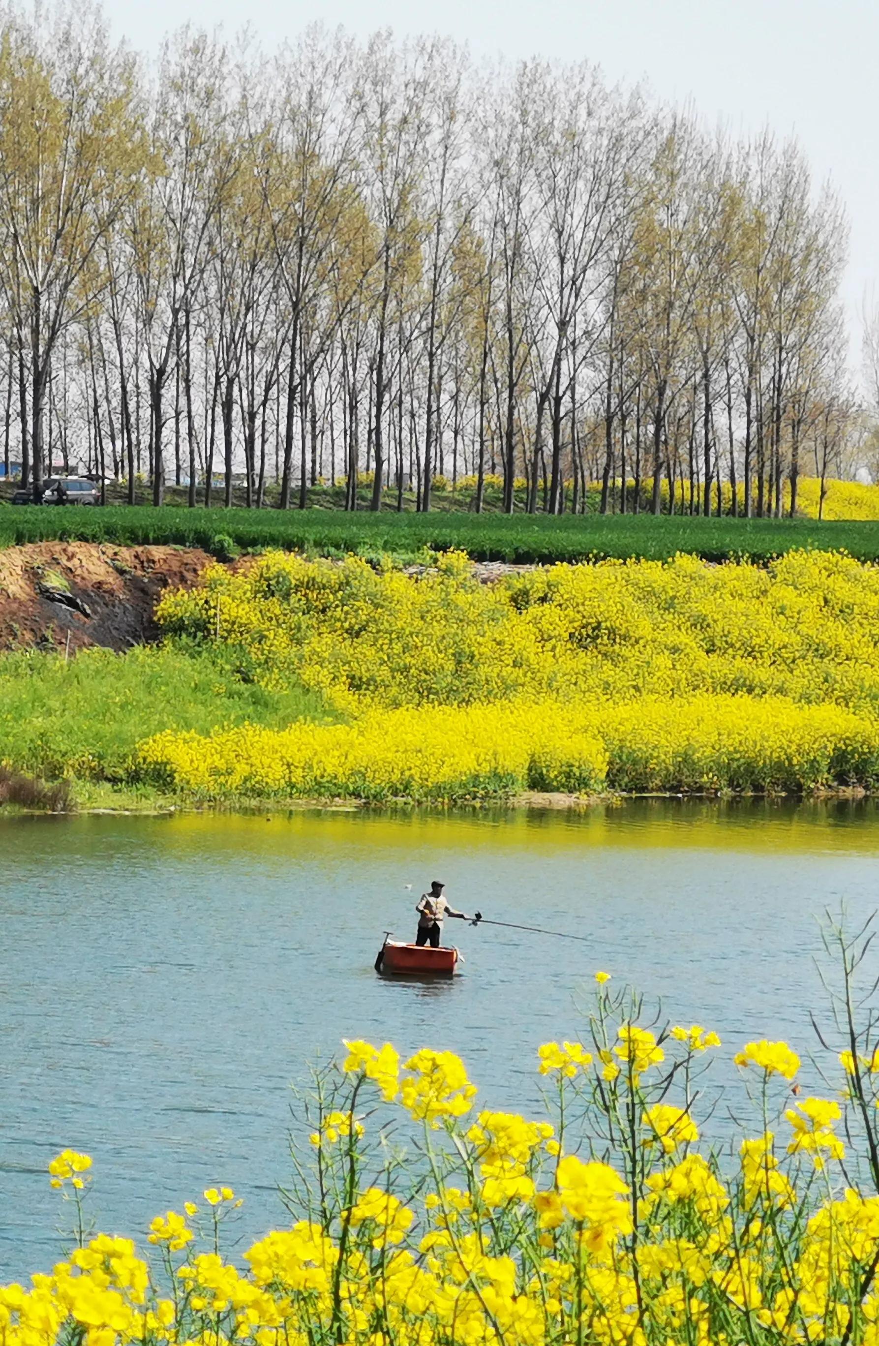 手拍世界（手机摄影平台）-群员作品集（总第671期）