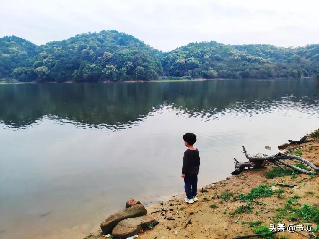 高三学生杀害陪读母亲案件,江苏17岁学生将陪读母亲杀害