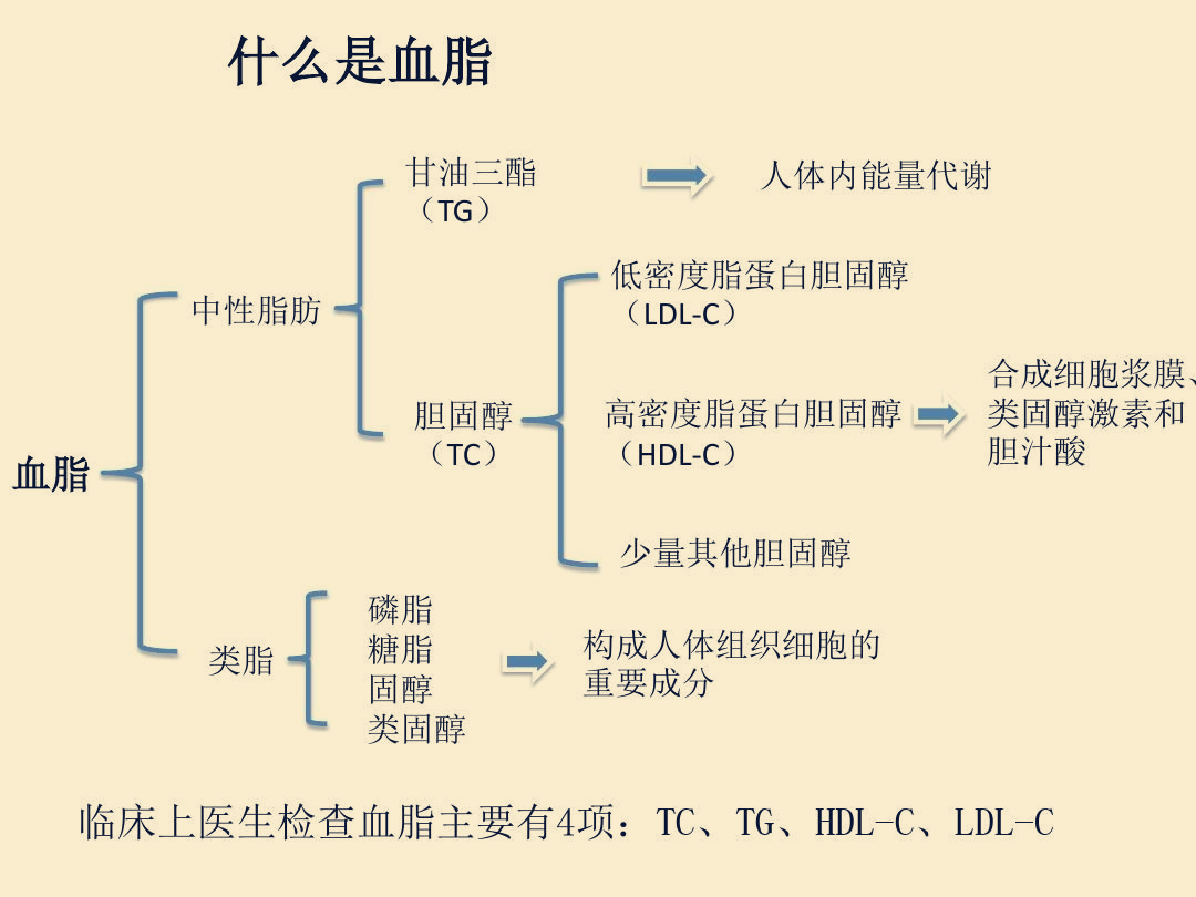 营养功能成分每日一讲：苦瓜皂苷