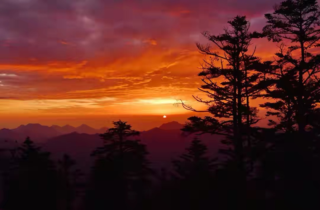 西岭雪山游玩攻略一日游有雪没有,西岭雪山赏雪一日游攻略