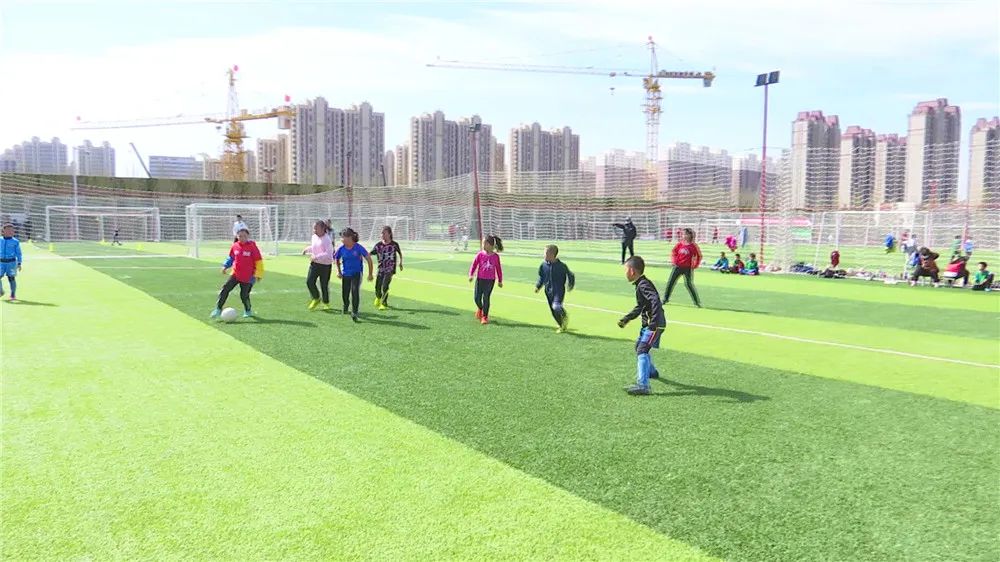 鲜活城,鲜活城事