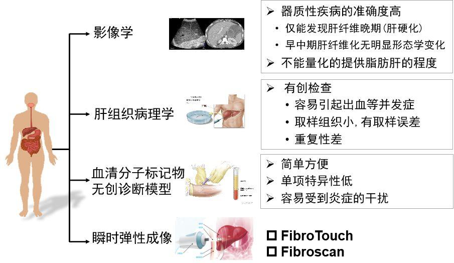 「肝胆好医生」南月敏教授-乙肝：可防、可控、不可怕