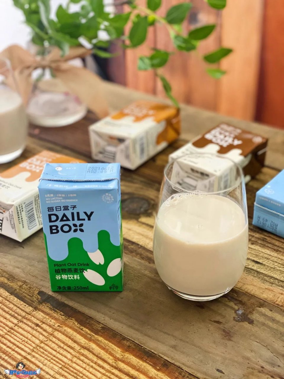 燕麦奶无糖0脂肪平价,五谷燕麦奶无糖低脂