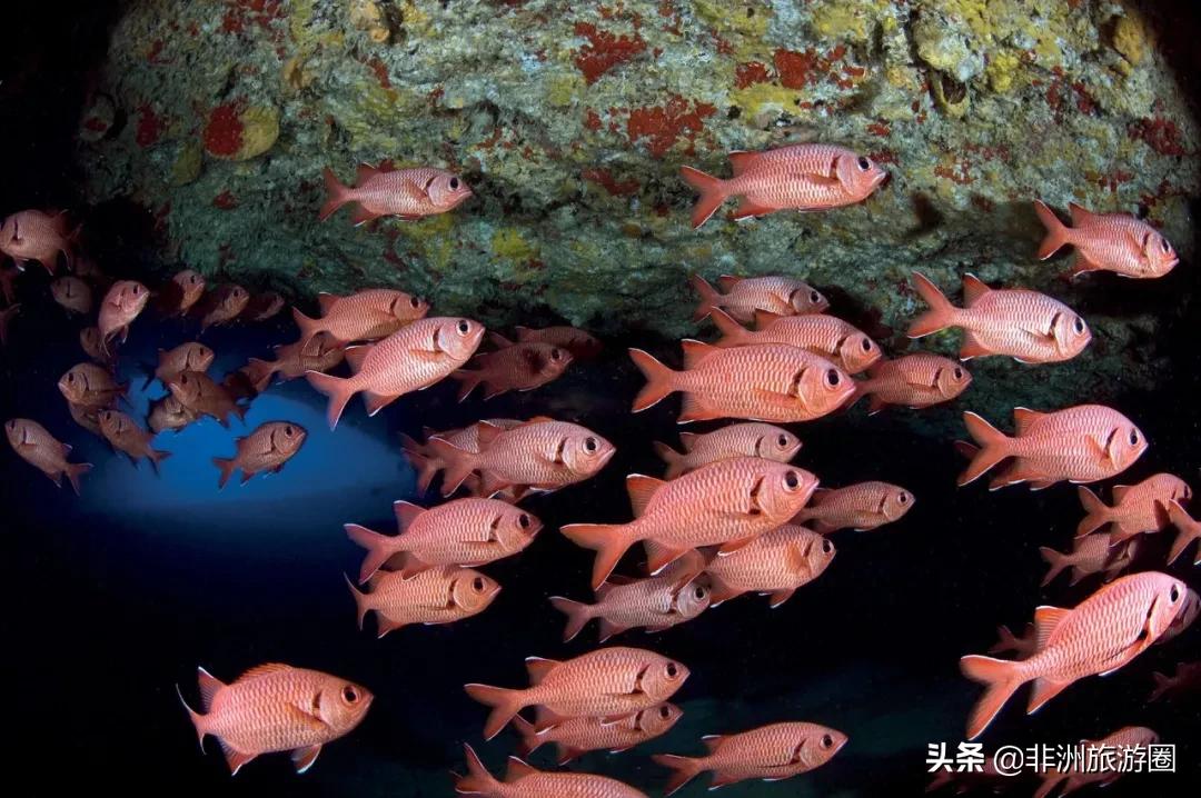 塞舌尔旅行体验,塞舌尔海岛游记