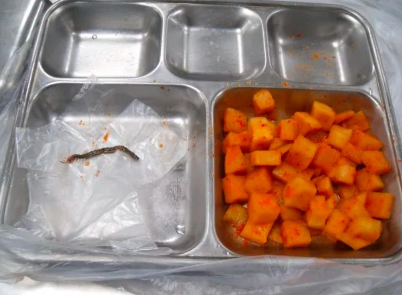 韩国队世界杯伙食,韩国队抱怨伙食动画