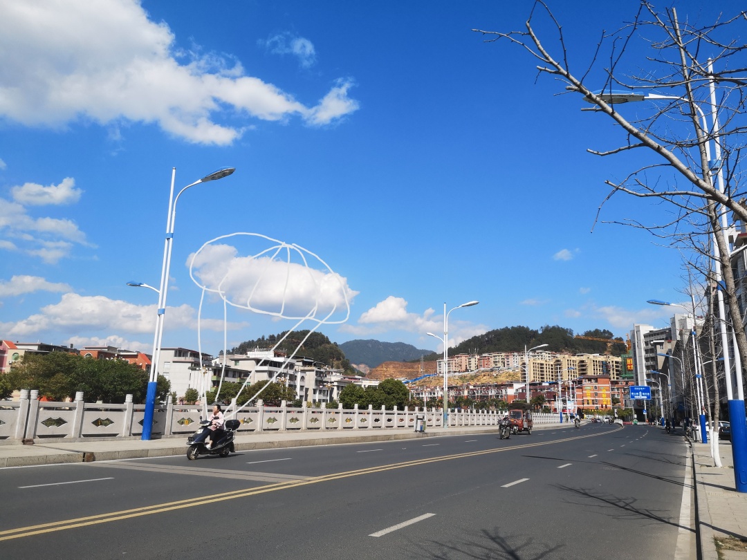 在森林书店的日子,在森林里看书的女孩