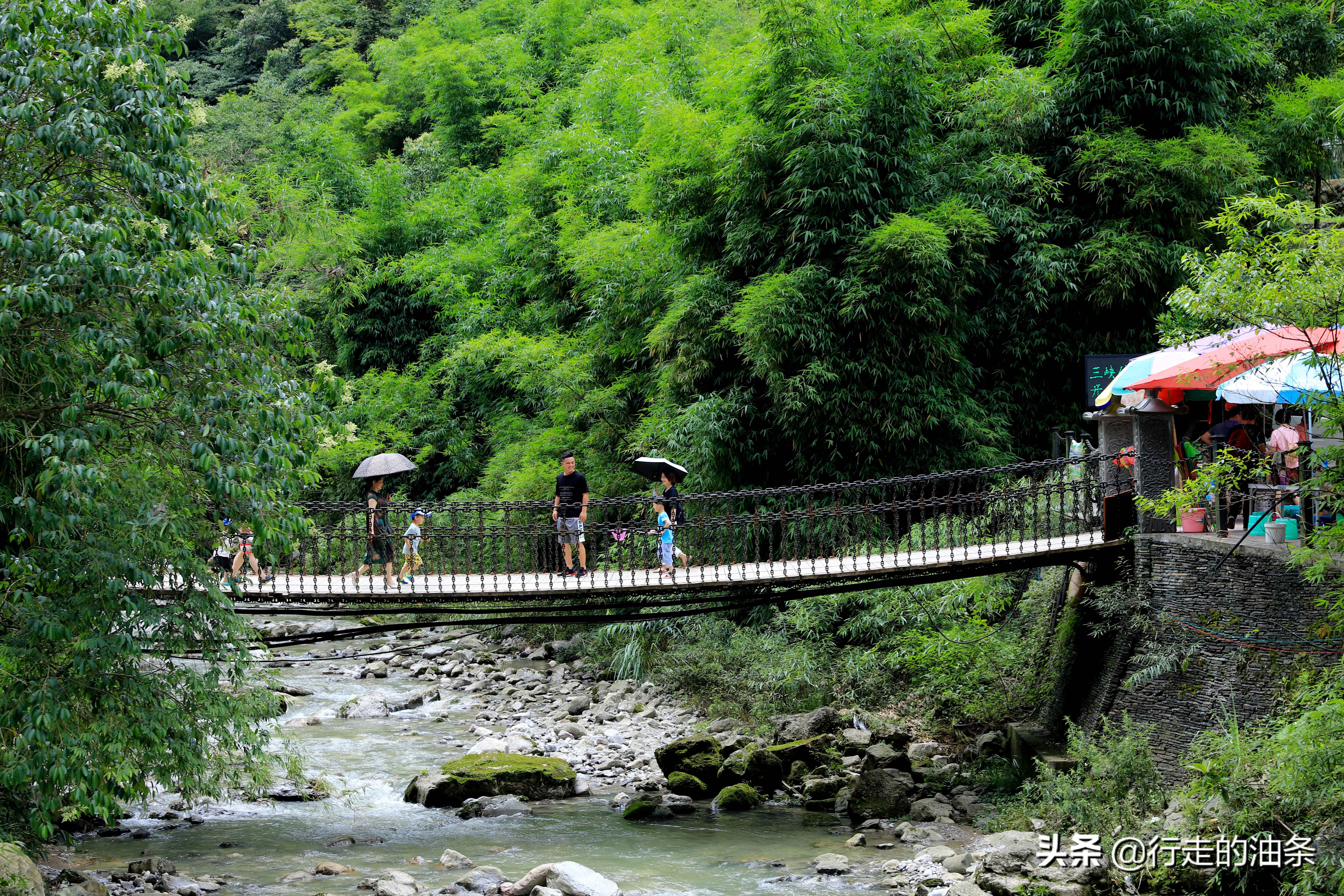 三峡竹海秭归,秭归三峡竹海
