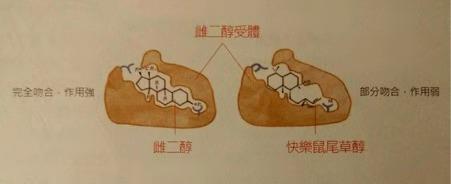 精油为什么不适合自己,精油为什么对情绪有帮助