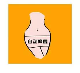 有关处女座资料,关于处女座的相关信息