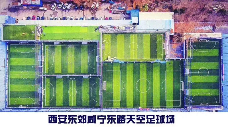 张豪足球,陕西队张豪