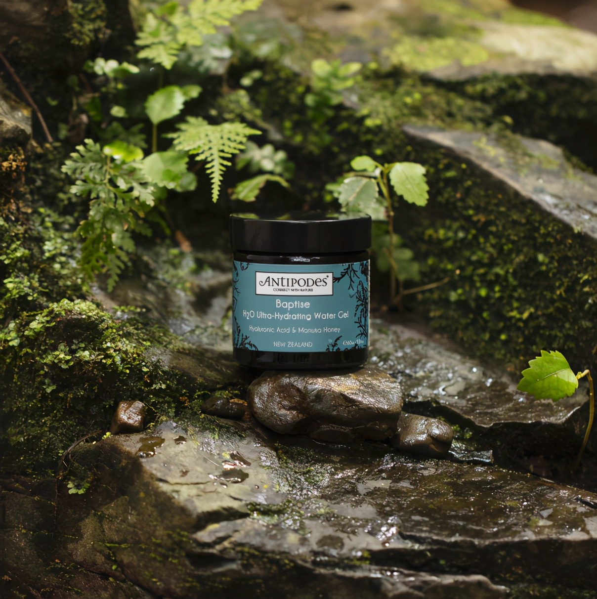 安媞珀护肤品怎样,安媞珀antipodes小程序