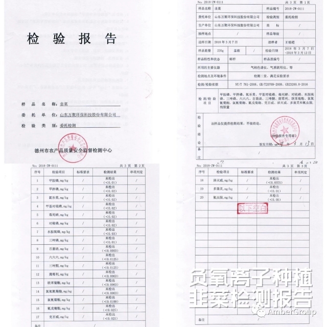 用石头种菜,石头种菜