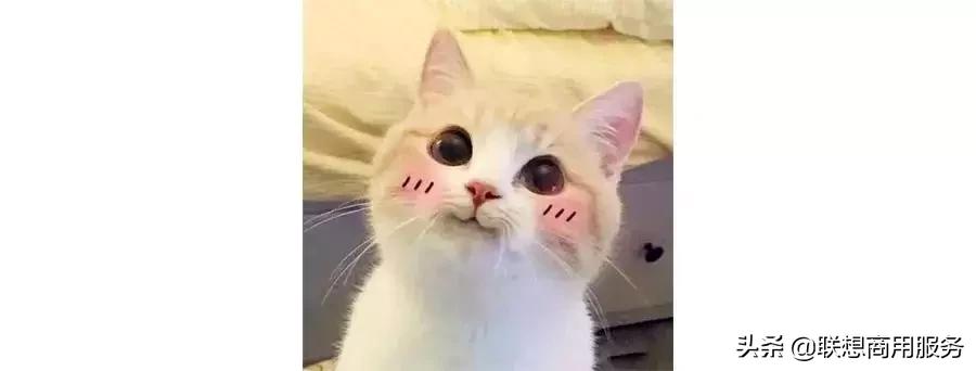 win10的实用小技巧,win10和win10哪个更好用