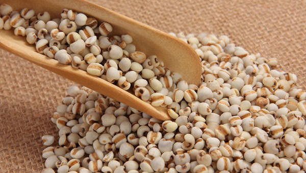 薏米的功效原来这么强,薏米的功效与作用美白