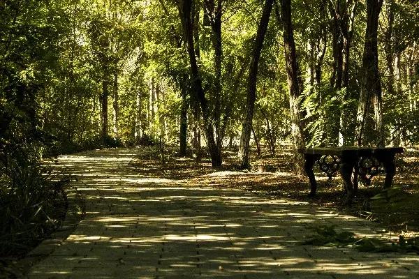 绿色美丽的生态环境,津南绿色生态