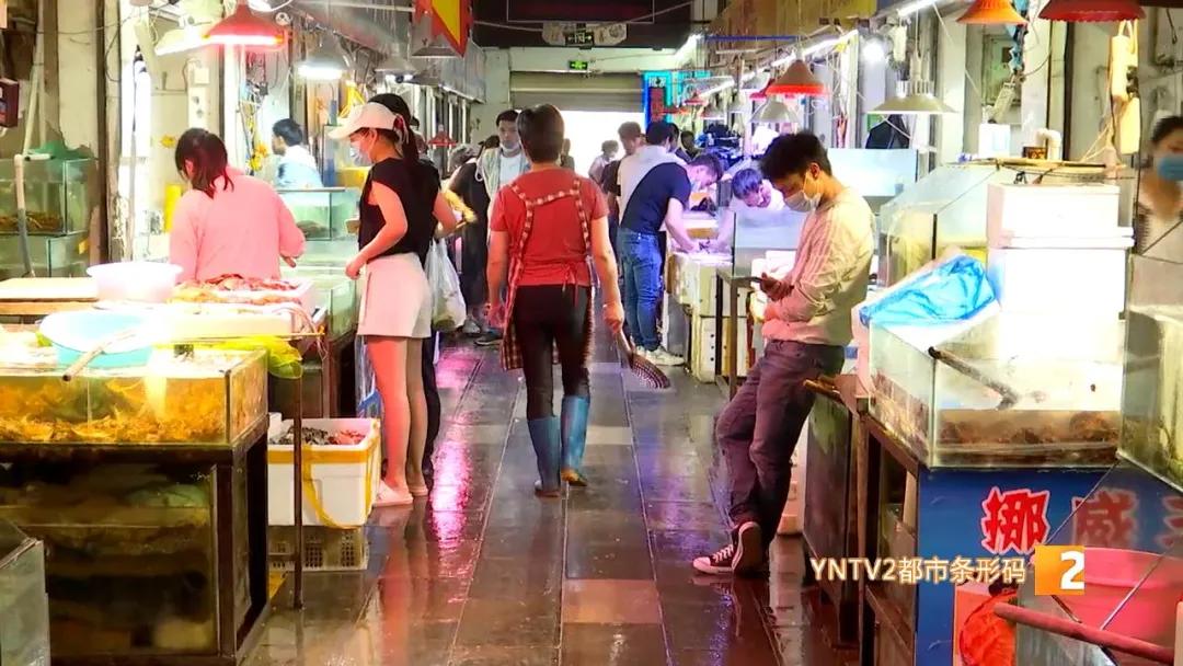 日本核废水排海后海鲜能放心吃吗,海鲜还能吃吗官方回应