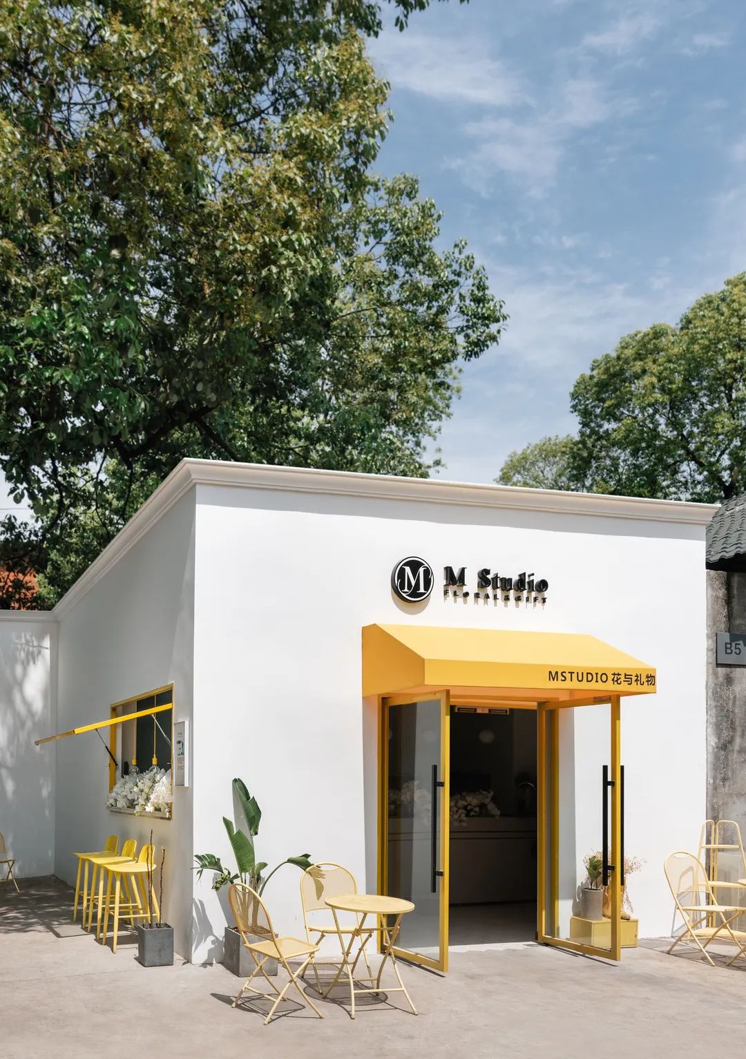 2020年脑洞大开的创业项目,成都脑洞大开