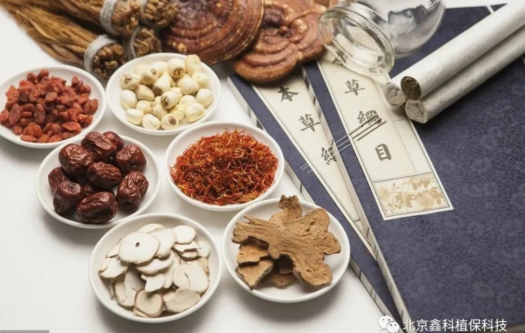 重楼根腐病用什么杀菌剂好,重楼根腐病救根护苗服务周到