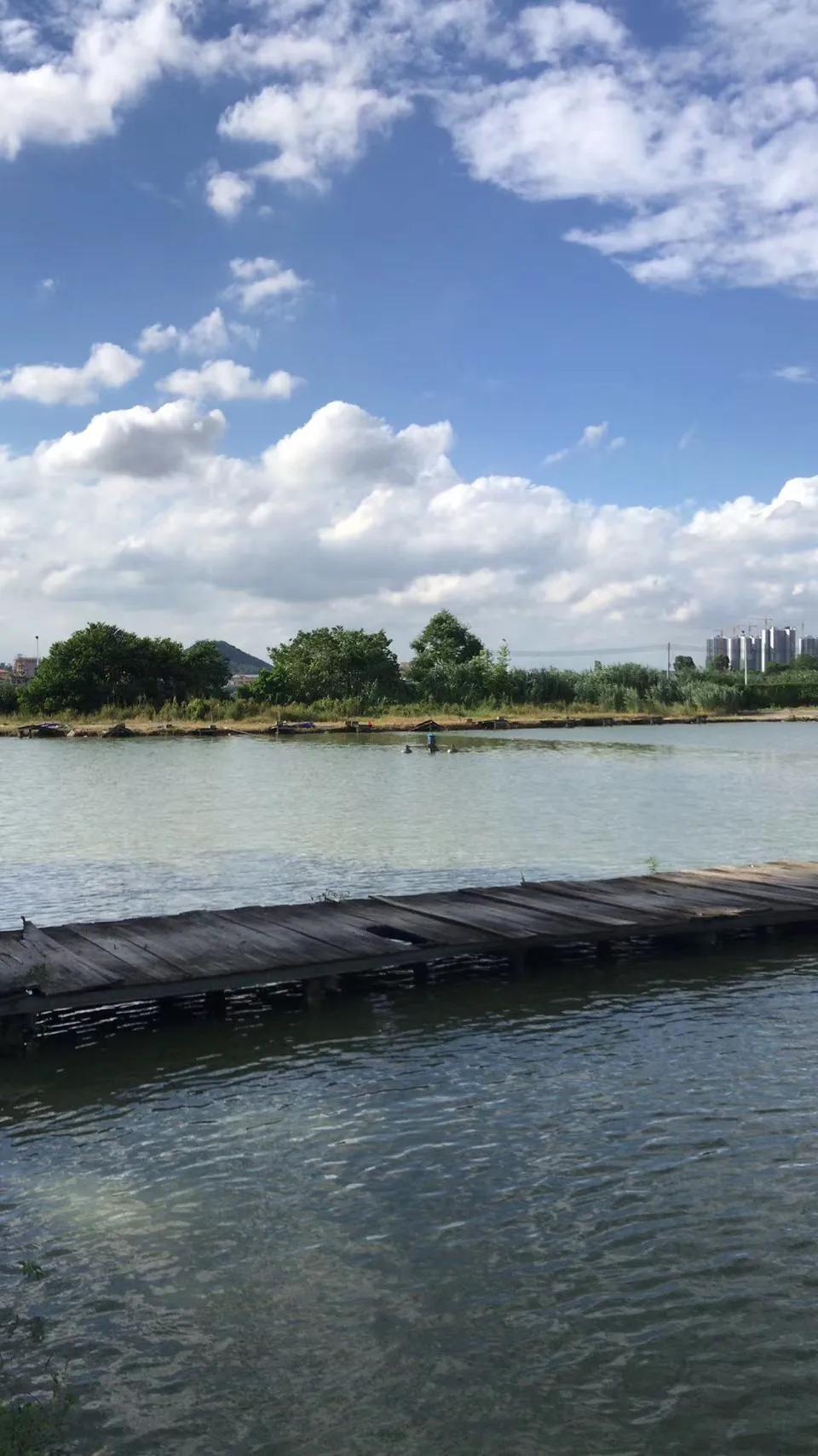 野钓用鲜虾饵钓鱼有效果吗,钓鱼避小杂鱼