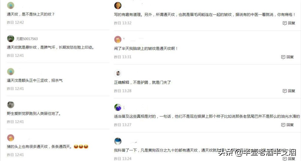 看这十五张评论图：正黄旗通天纹和周亚夫嘴角横纹有何不同之处？