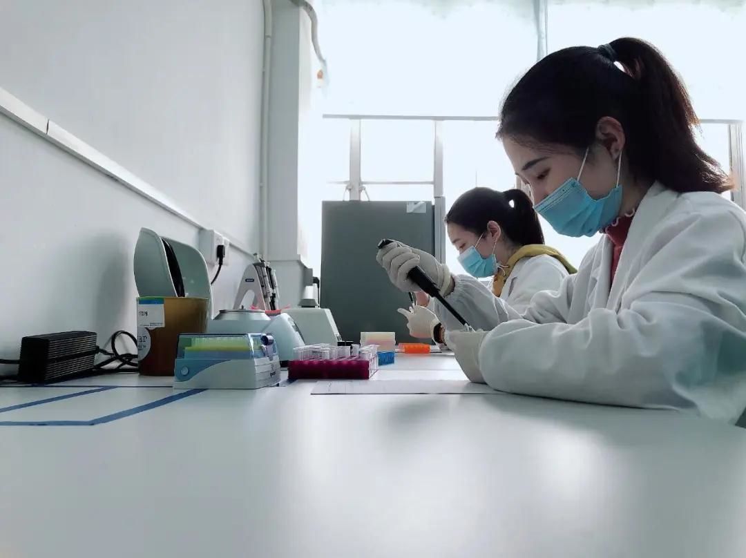 珠海实力有多强,珠海最具潜力板块