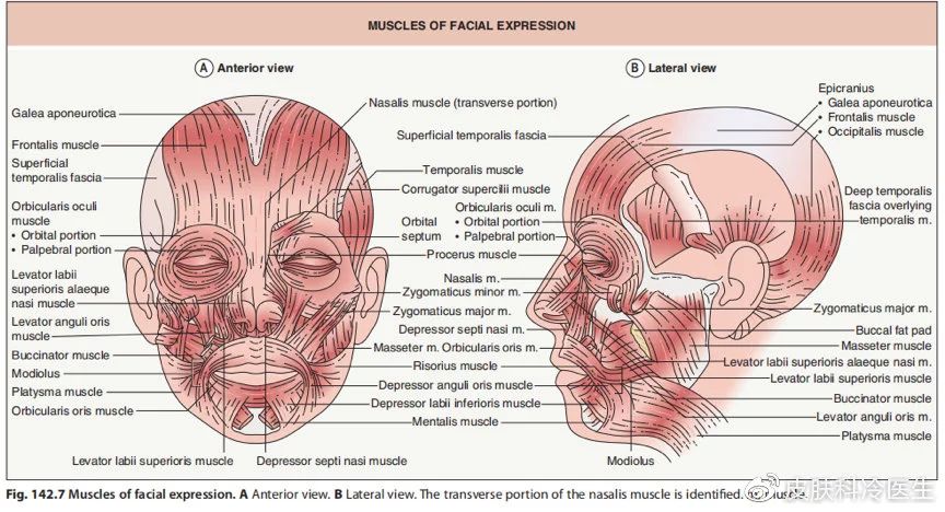 玻尿酸注射下巴的过程视频,注射玻尿酸能维持多长时间