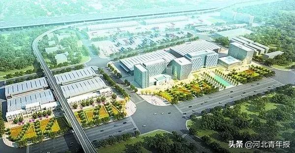 单双号限行范围扩大!国家最新规划!河北6市被委以重任!14岁女儿洗澡传来异响,父亲踹门救人!双双身亡!