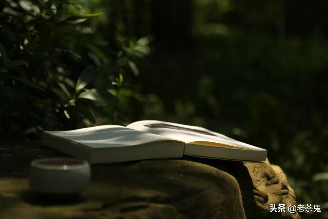 老鬼说茶玩转普洱茶,玩转普洱茶老茶鬼说茶