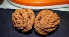 文玩核桃阴皮与反油的区别,文玩核桃反油了怎么办