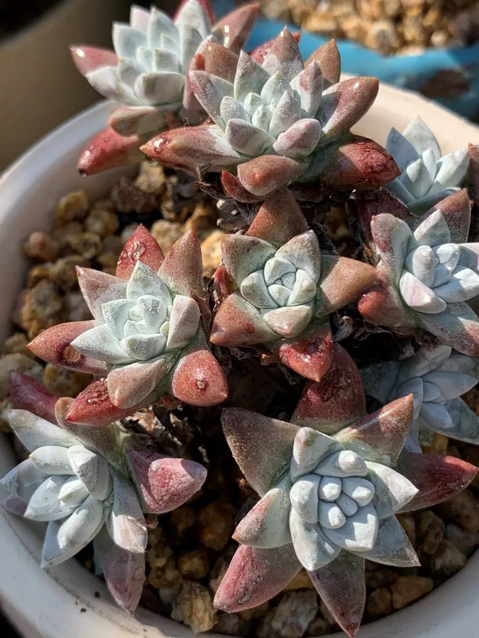 禁足的日子收获颇多,禁足