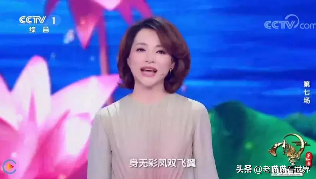 班级诗词大会董卿开场白,董卿开学第一课讲诗词