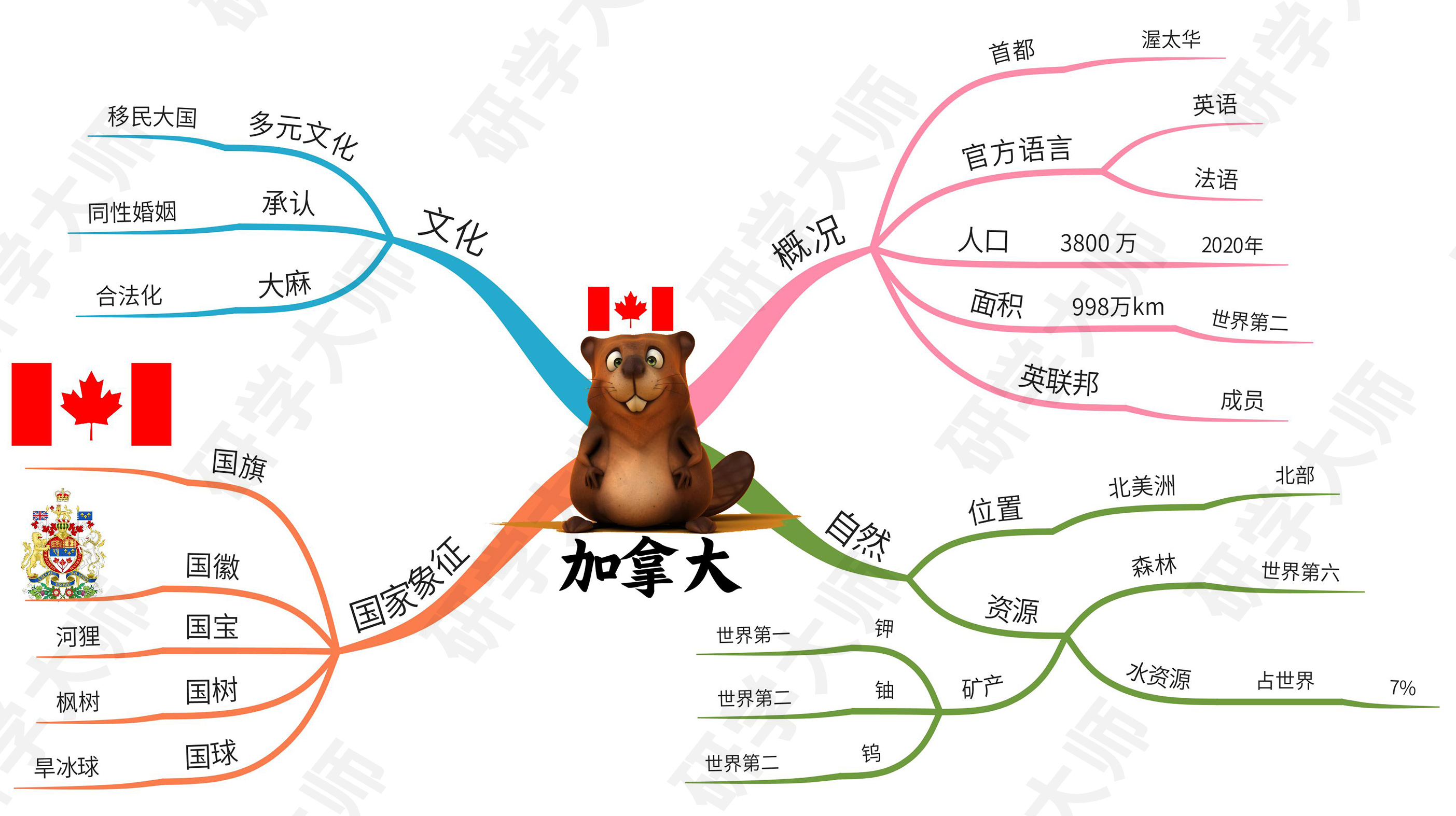 奥运会思维导图最最最简单的,奥运思维导图
