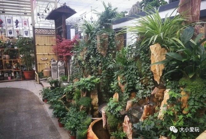 过年必逛花卉市场,北京值得去的花卉市场