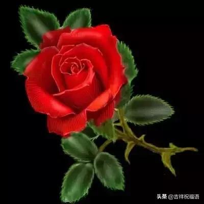 5201314，送你999玫瑰花，祝你爱情甜甜蜜蜜