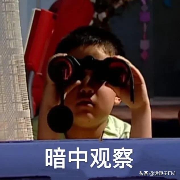 片仔癀和茅台,片仔癀真的能超越茅台吗