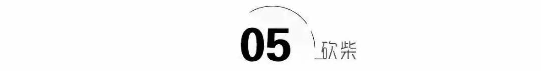 永远开不出罚单的谭警官什么意思,开不出罚单的谭警官全名