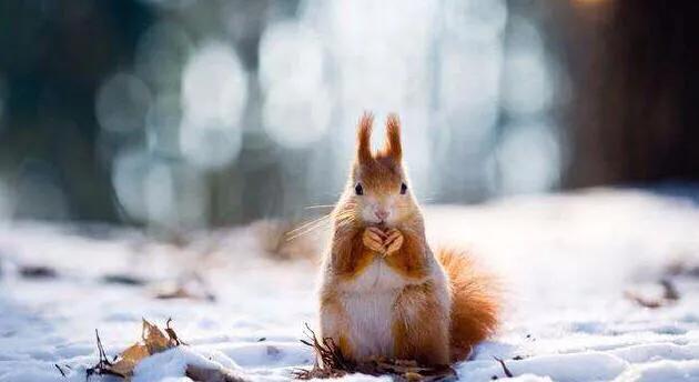 深圳暑假值得带孩子旅游的地方,深圳十大暑假室内必去景点