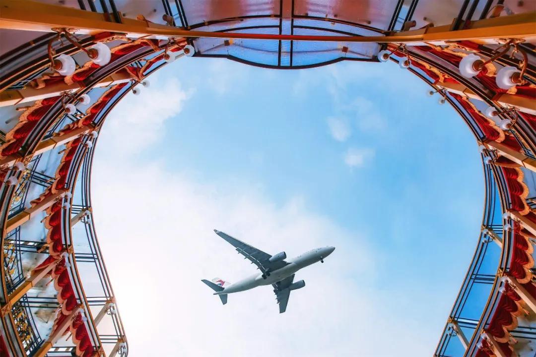 在空港花田里怎么拍照好看,每张都是屏保