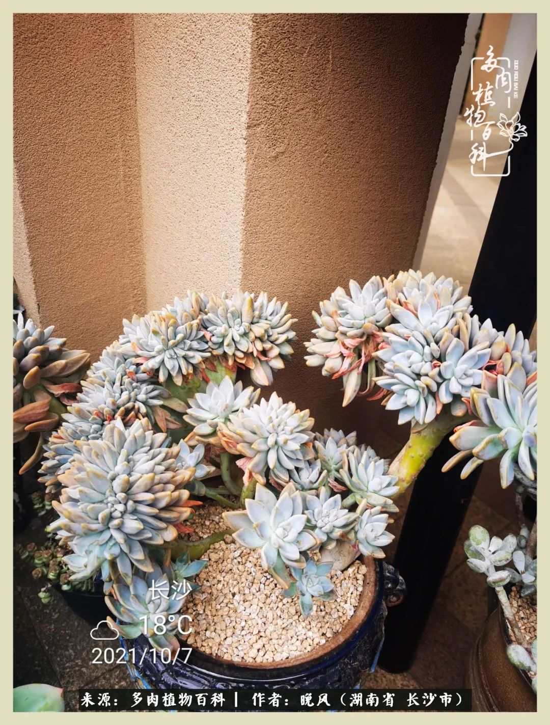 摇身一变成了奶爸,摇身一变成为打工人