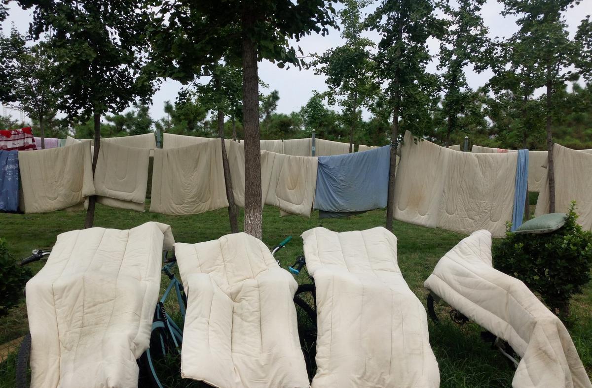 被子潮湿发霉最快解决方法,宿舍被子受潮发霉怎么办