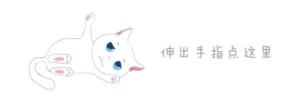 猫咪掉毛太严重满屋子都是猫毛 (猫咪掉毛扎毛毡)