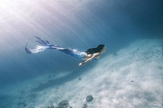 东方西方的美人鱼,东方美人鱼