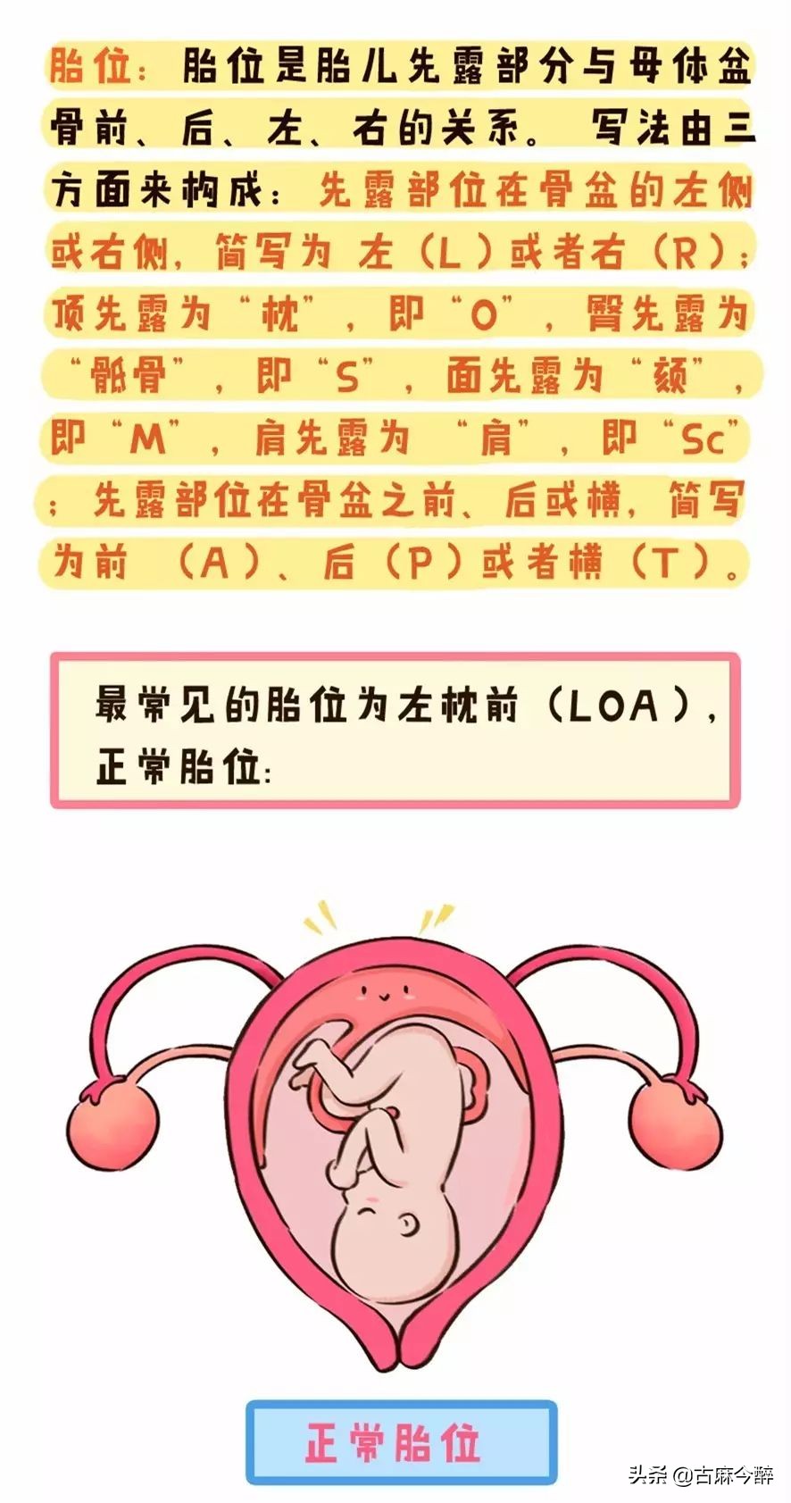 一分钟看懂孕检b超图,一秒教你看懂孕检化验单