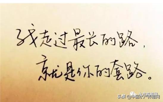 帆布池养殖要注意哪些,为什么很多人帆布池养殖都失败了