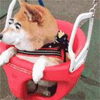 必打卡的宝藏公园,这些宝藏打卡地分分钟让人美到