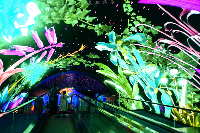 海洋极地海洋世界攻略,正佳极地海洋世界白鲸海象