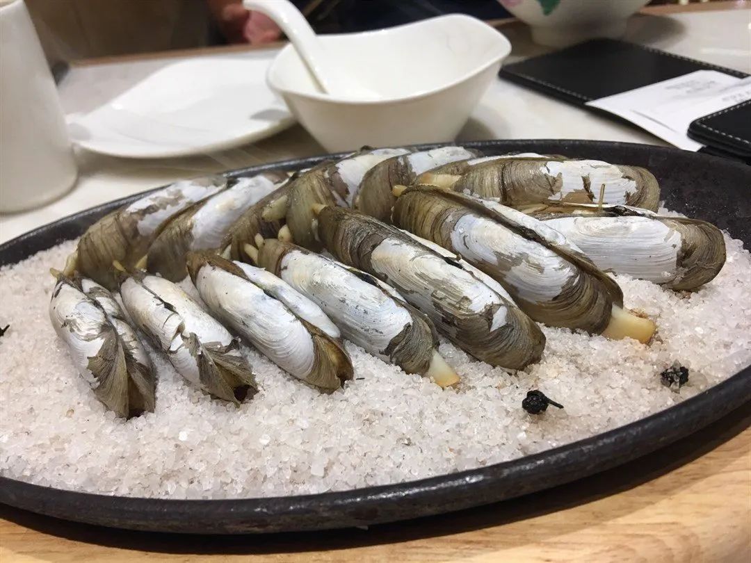 蛤蜊、蛏子、毛蚶、蚬子，那些好吃的小贝壳，今天一次搞清楚