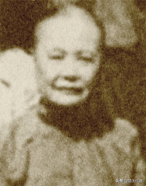 新四军历届军长,新四军历任军长政委